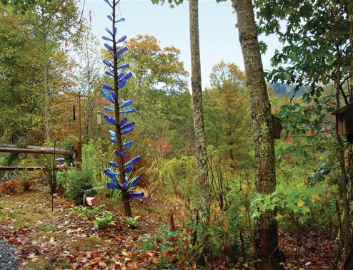 Aska Lodge B&B Blue bottle tree
