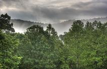 Stormy morning mist as seen from Aska Lodge porch